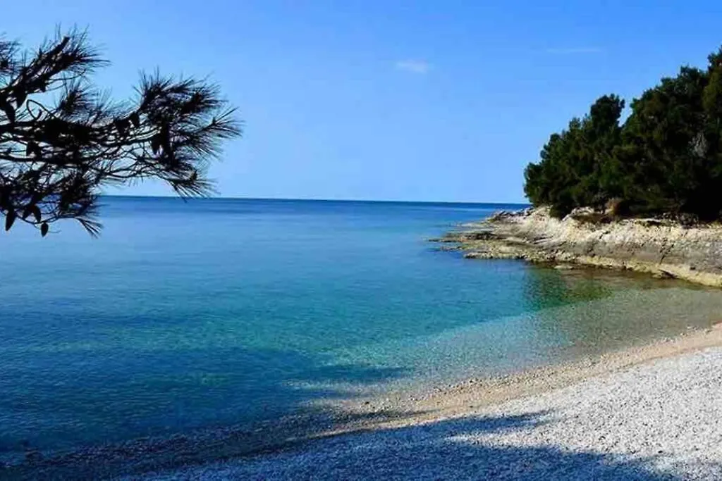 Apartment Damir 50 Meters From The Beach プーラ