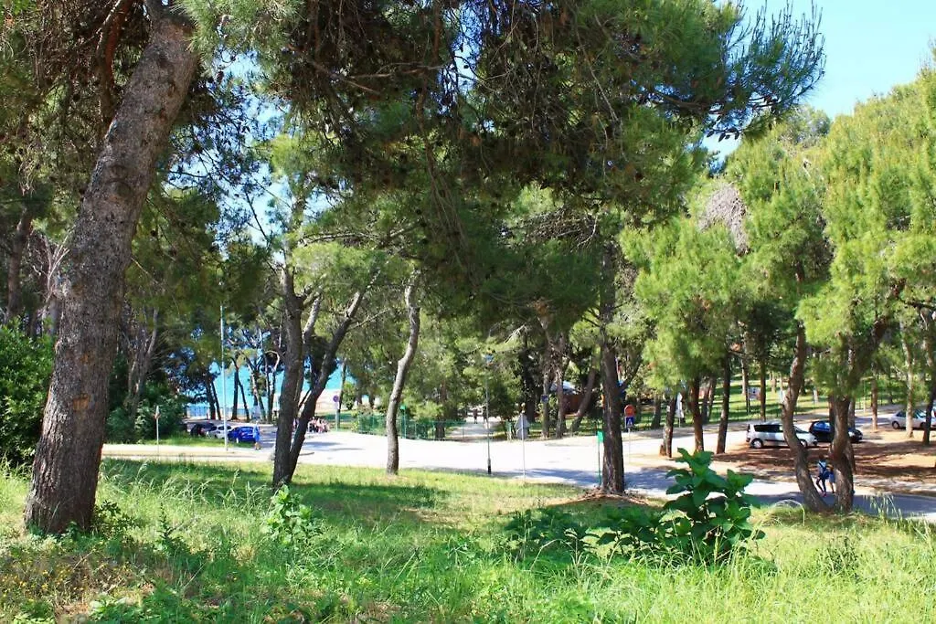 Apartment Damir 50 Meters From The Beach プーラ