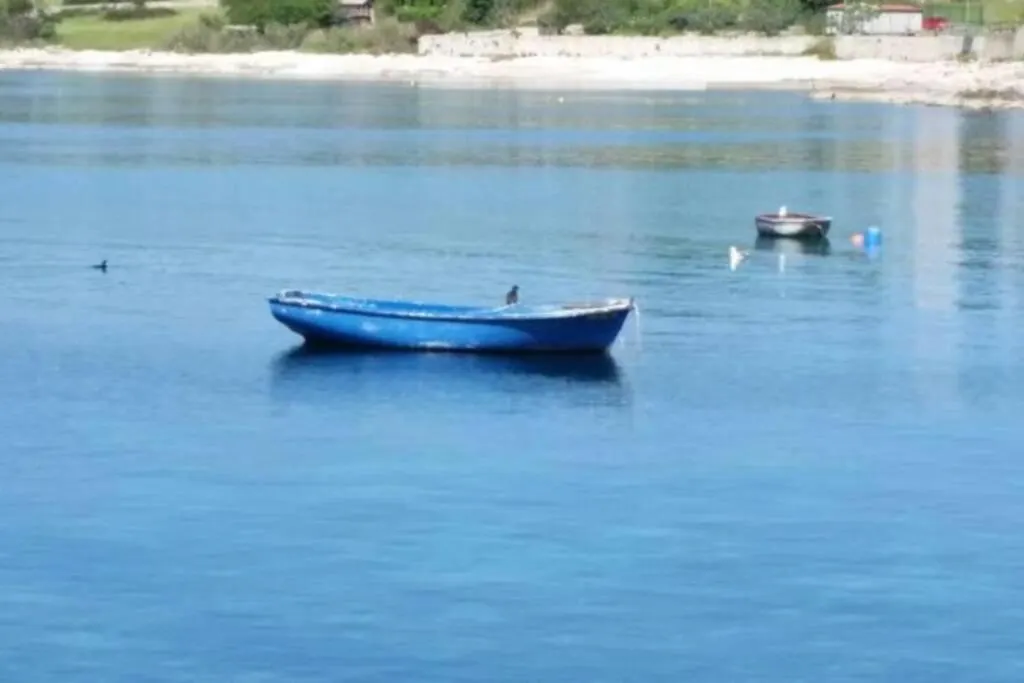 Apartment Damir 50 Meters From The Beach Pula