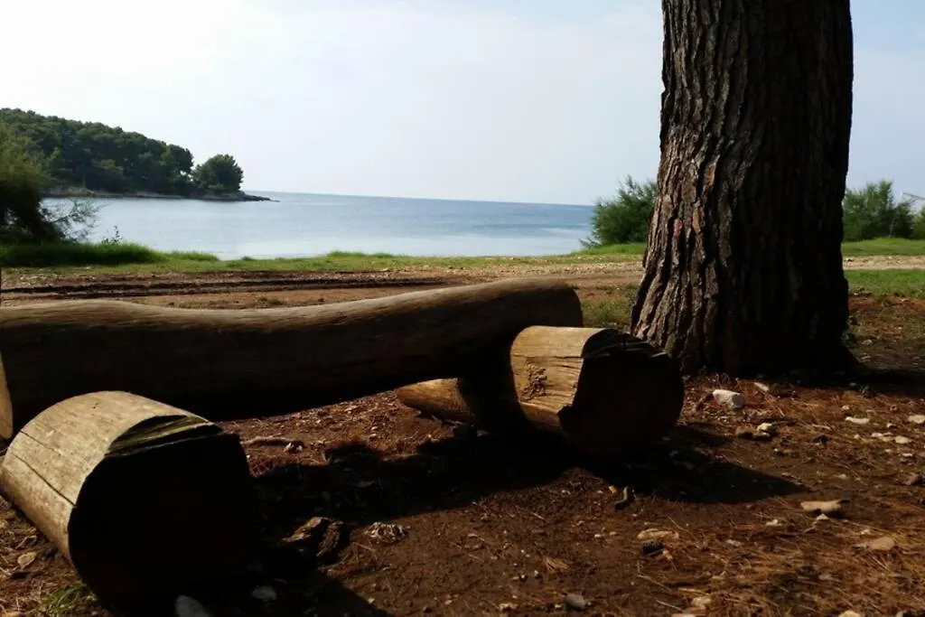 Apartment Damir 50 Meters From The Beach Pula Chorwacja